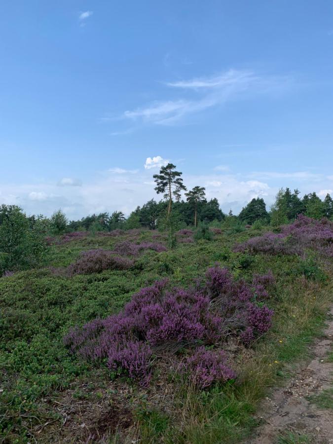 Haarles Landleven Bed & Breakfast Bagian luar foto