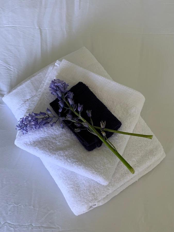 Haarles Landleven Bed & Breakfast Bagian luar foto